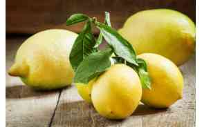 Citron avec tige Italie