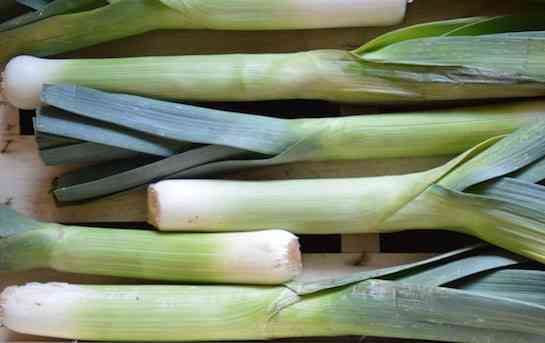 Poireaux BIO