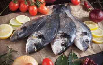 Poisson entier Daurade royale écaillée et vidée