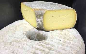 Muhlestein Toggenburg