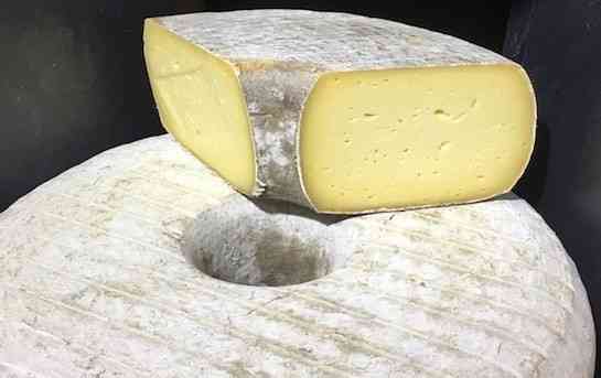 Muhlestein Toggenburg