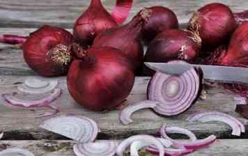 Oignons rouges Suisse