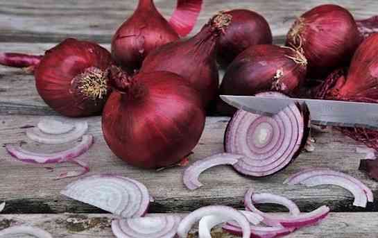 Oignons rouges Suisse