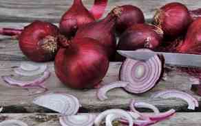 Oignons rouges Suisse