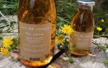 Jus de raisin Domaine de...