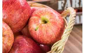 Pommes Gravensteiner BIO