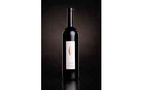 Gamaret 2015 - Domaine de la Mermière