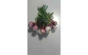 Oignons rouges en botte BIO de Genève