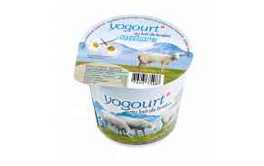 Yogourt au lait de brebis nature