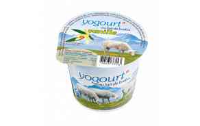 Yogourt au lait de brebis vanille