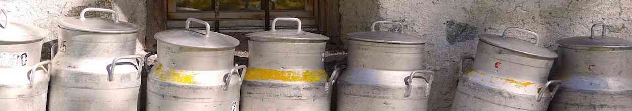 Produits laitiers - Oeufs