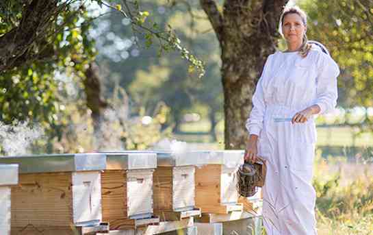 Les Miels de Stéphanie